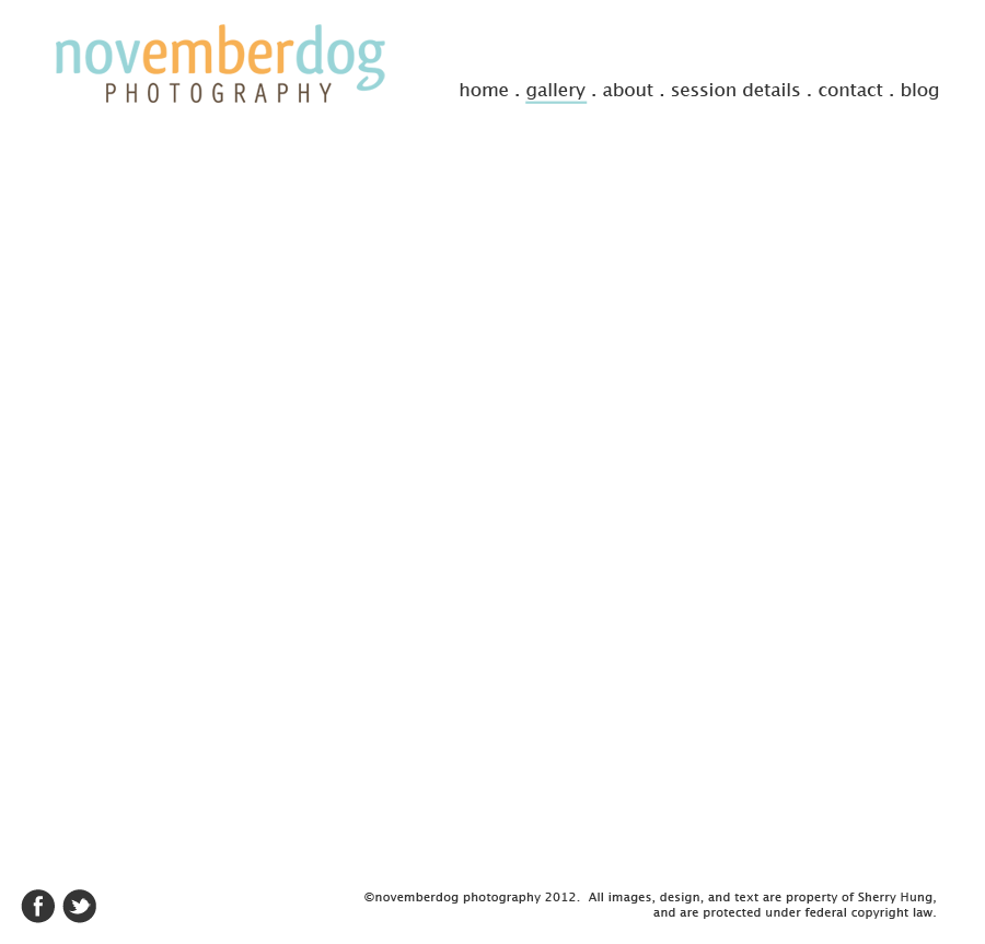 novemberdog photography